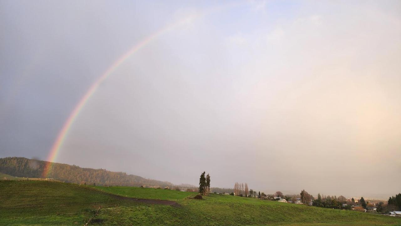 A Stunning Retreat In Rotorua! *