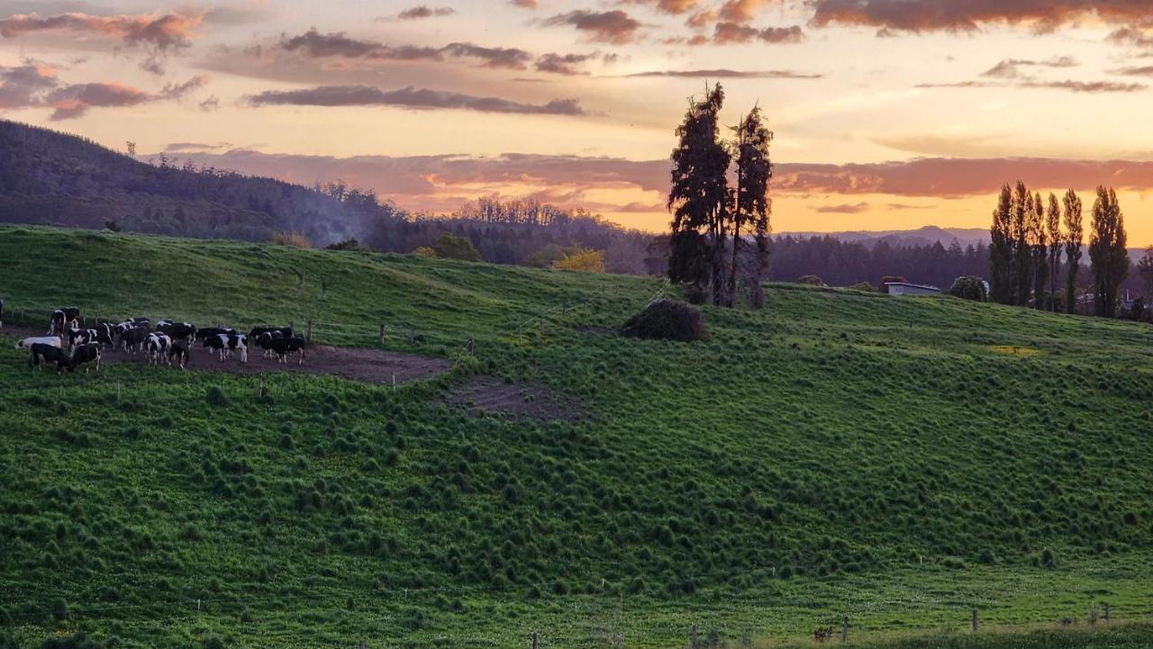 A Stunning Retreat In Rotorua! Guest house *