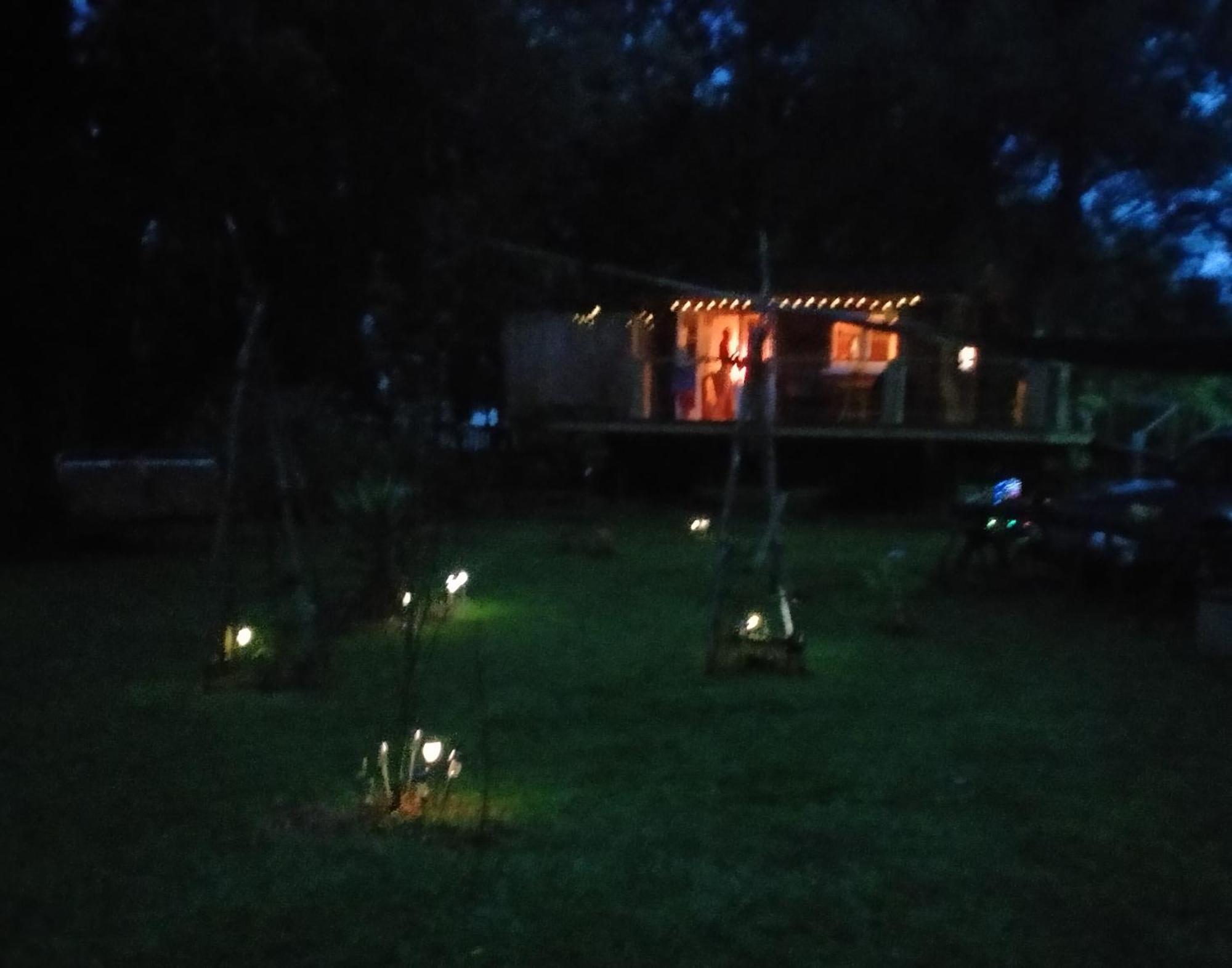 Tree House 4 Two