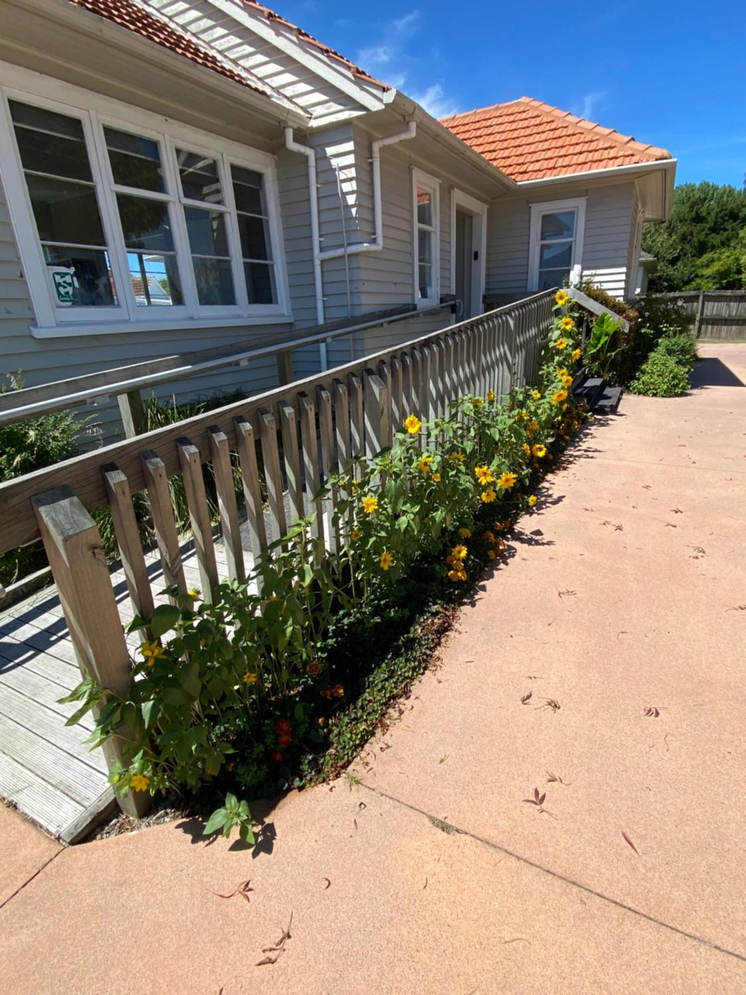 Whole House, Amohau St Opposite Trade - 3 Bedrooms, Sleeps Up To 6, 5 Beds, Wheel Chair Friendly