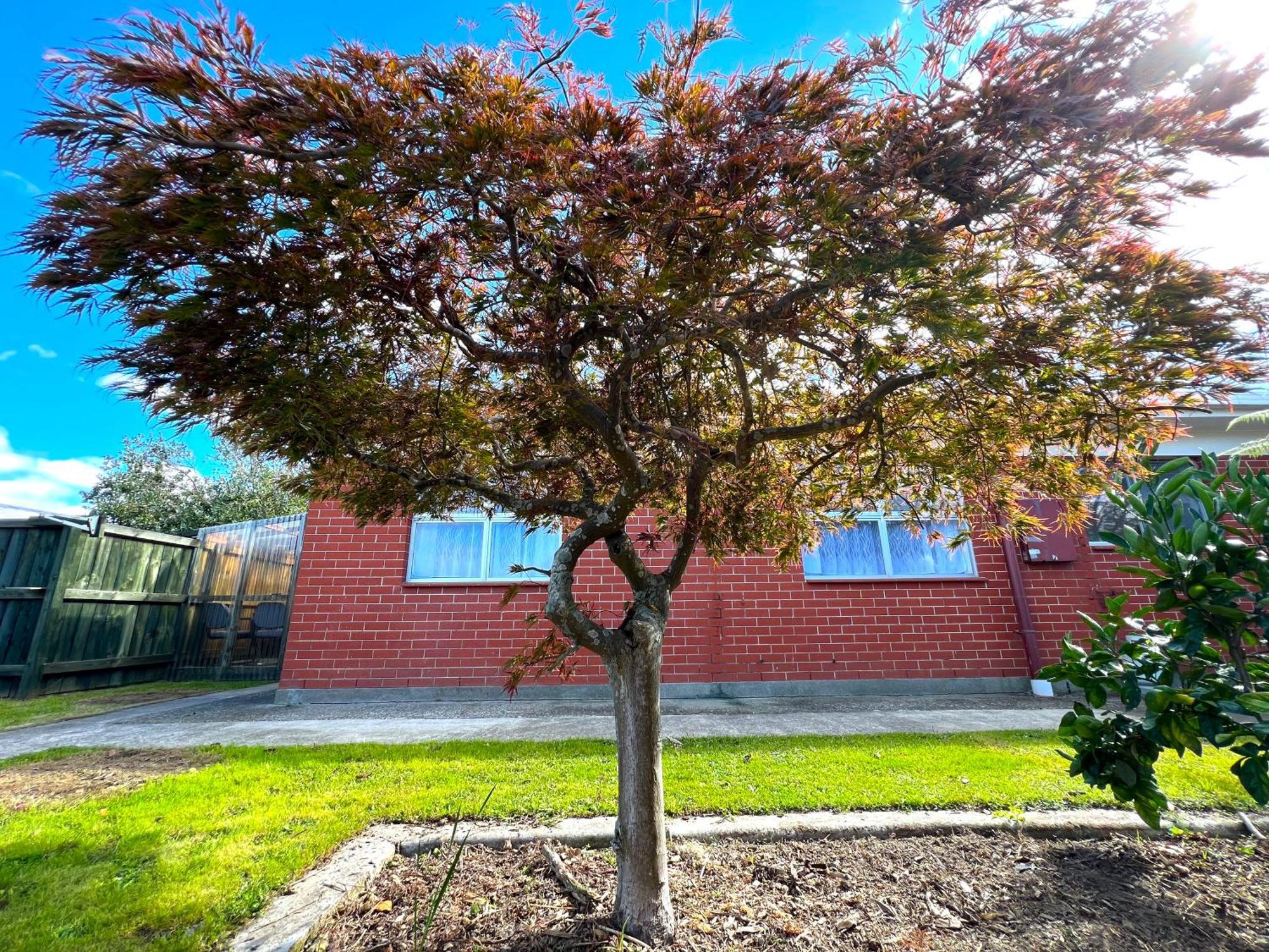 - Prime Location - With Garden Rotorua