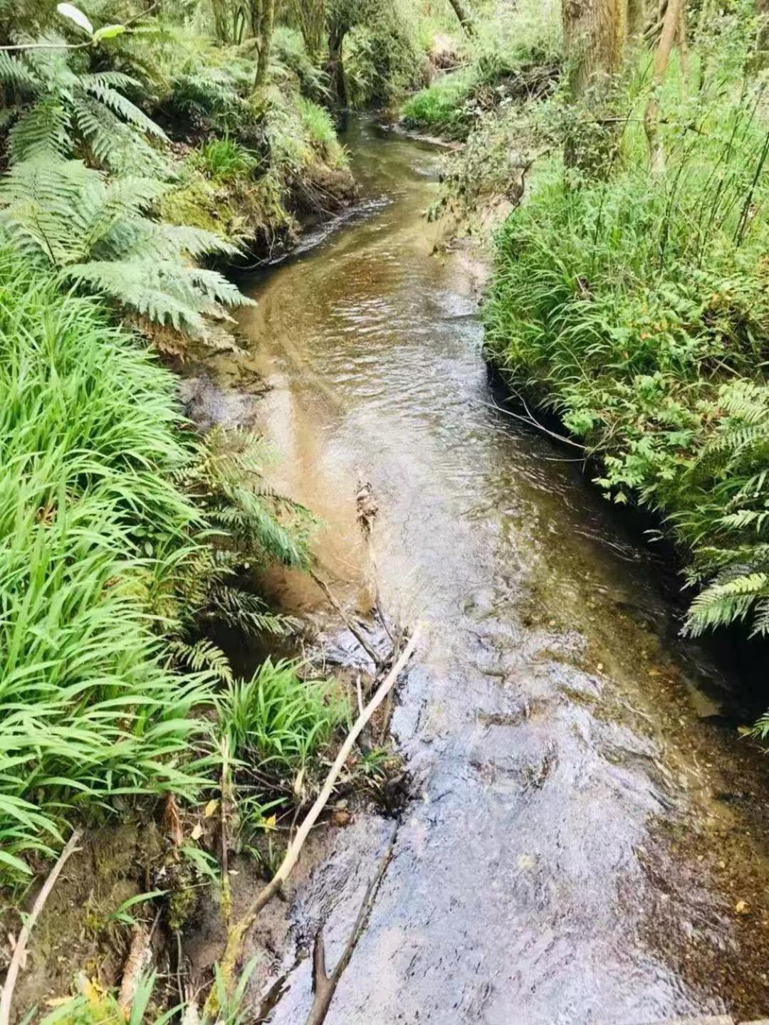 Paradise Valley Getaway - Farm With Stream Rotorua