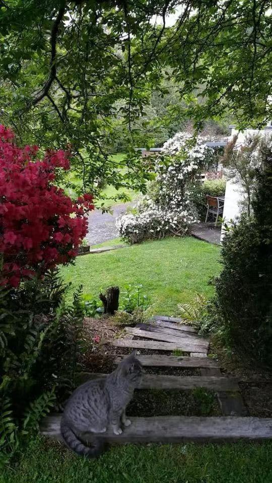 Apartment Paradise Valley Getaway - Farm With Stream Rotorua