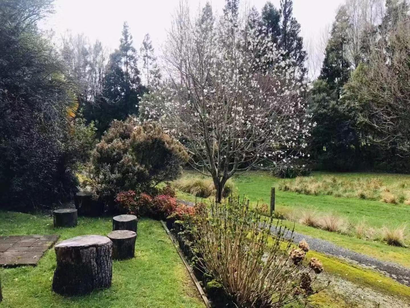 Paradise Valley Getaway - Farm With Stream Apartment Rotorua