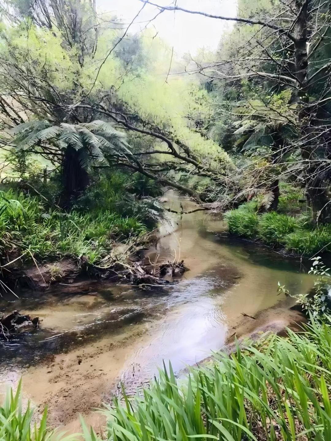 Paradise Valley Getaway - Farm With Stream *