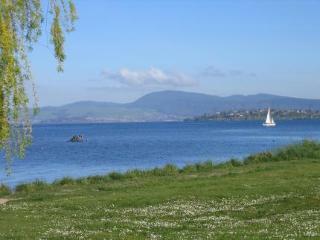 Waiteti Lakefront Hotel 4*
