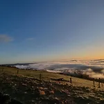 Aorangi Peak Cabins 1 By Tiny Away