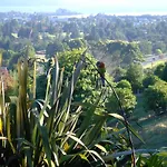 Serendipity Homestay