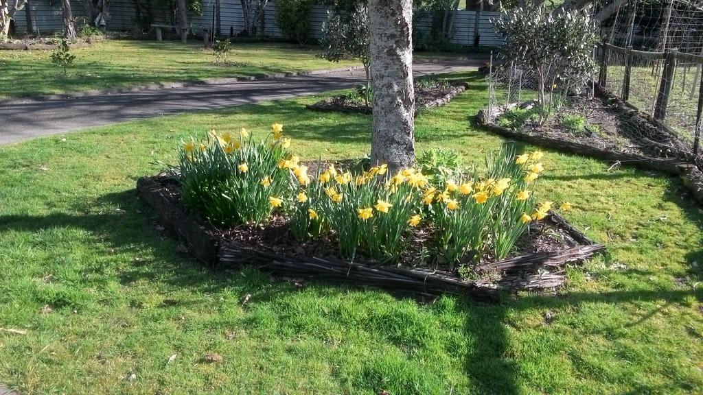 Homestay Rosie's Homestay Rotorua