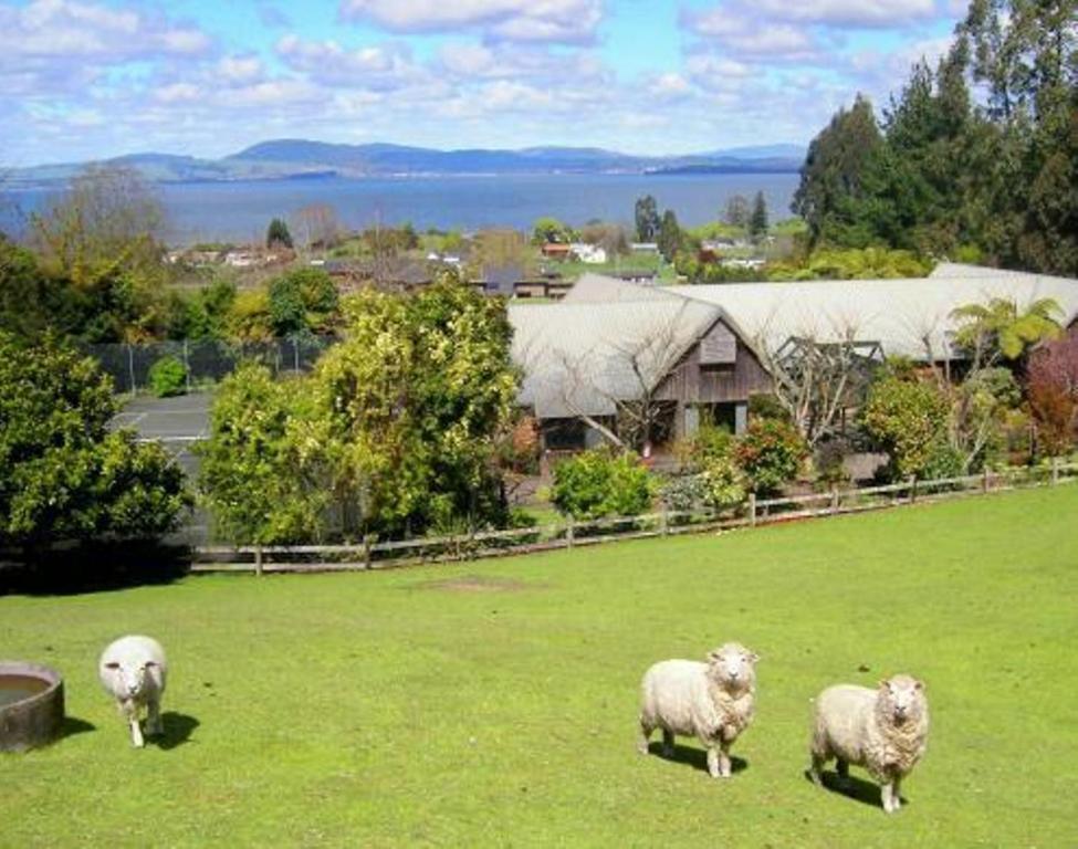 A Panoramic Country Rotorua