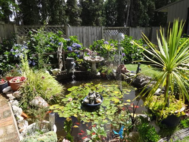 Rosie's Homestay Rotorua