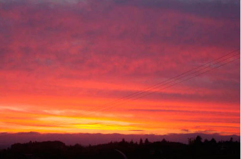 A Panoramic Country Rotorua