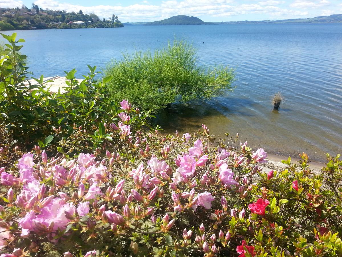 Koutu Bed & Breakfast Rotorua