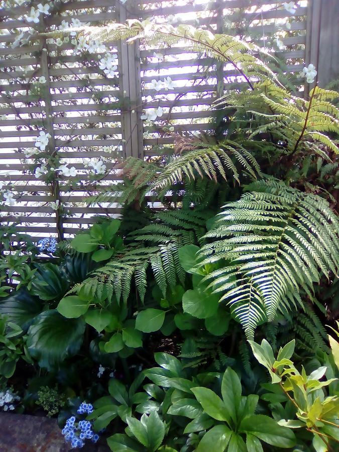 Silvereye Retreat Bed & Breakfast Rotorua