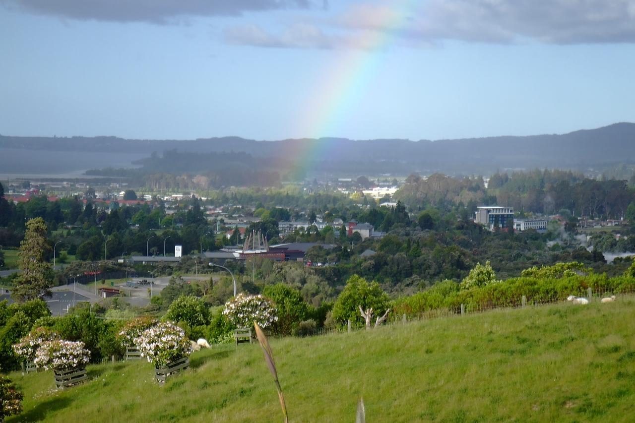 Serendipity Rotorua