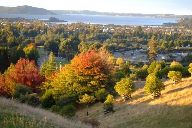 Bed & Breakfast Serendipity Rotorua