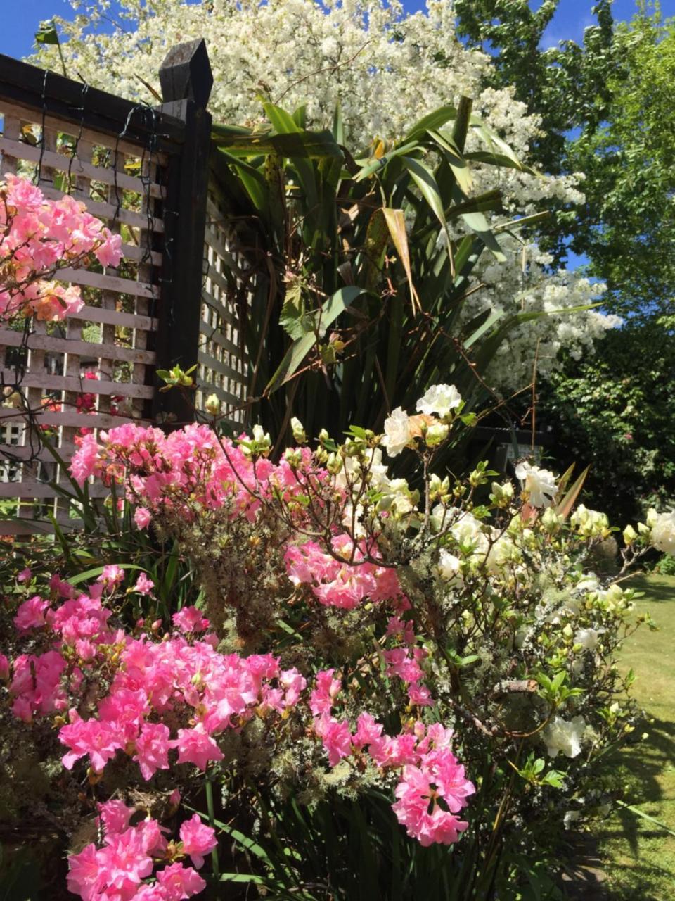 Sweet Holiday House * Rotorua