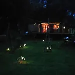 Tree House 4 Two