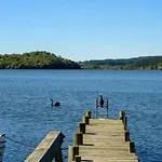 Rotoiti Bay Bliss