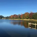 Lake Okareka Oasis