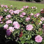 Silver Oaks Resort Heritage