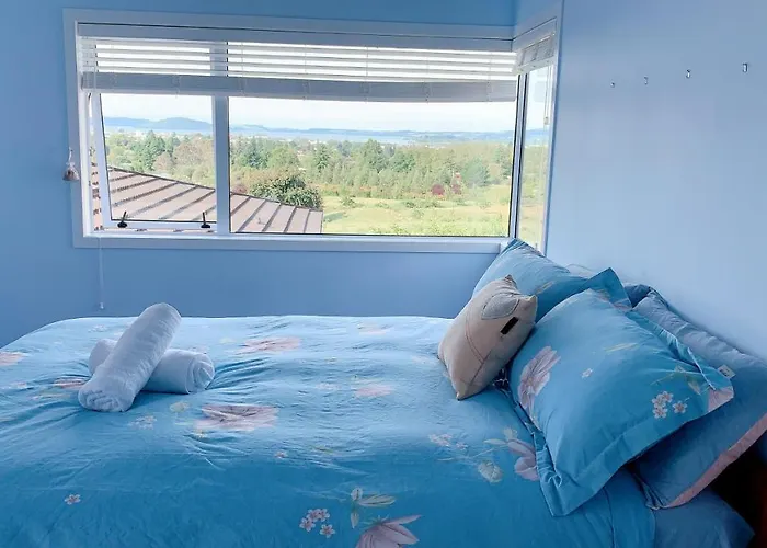 Panoramic View Apartment Without A Kitchen