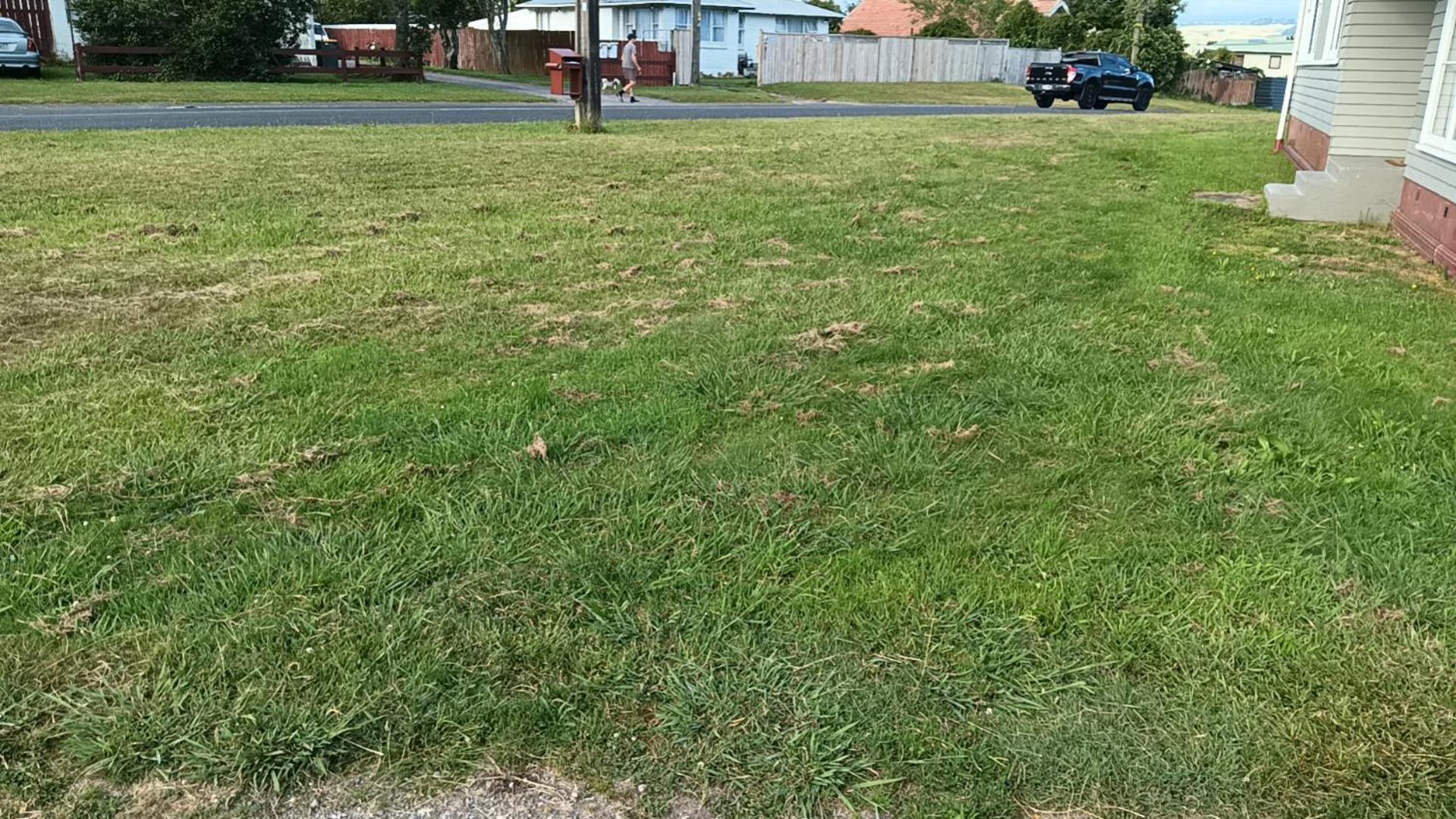 3 Bedrooms Plus Lounge And Kitchen And Bathroom And Laundry Rotorua