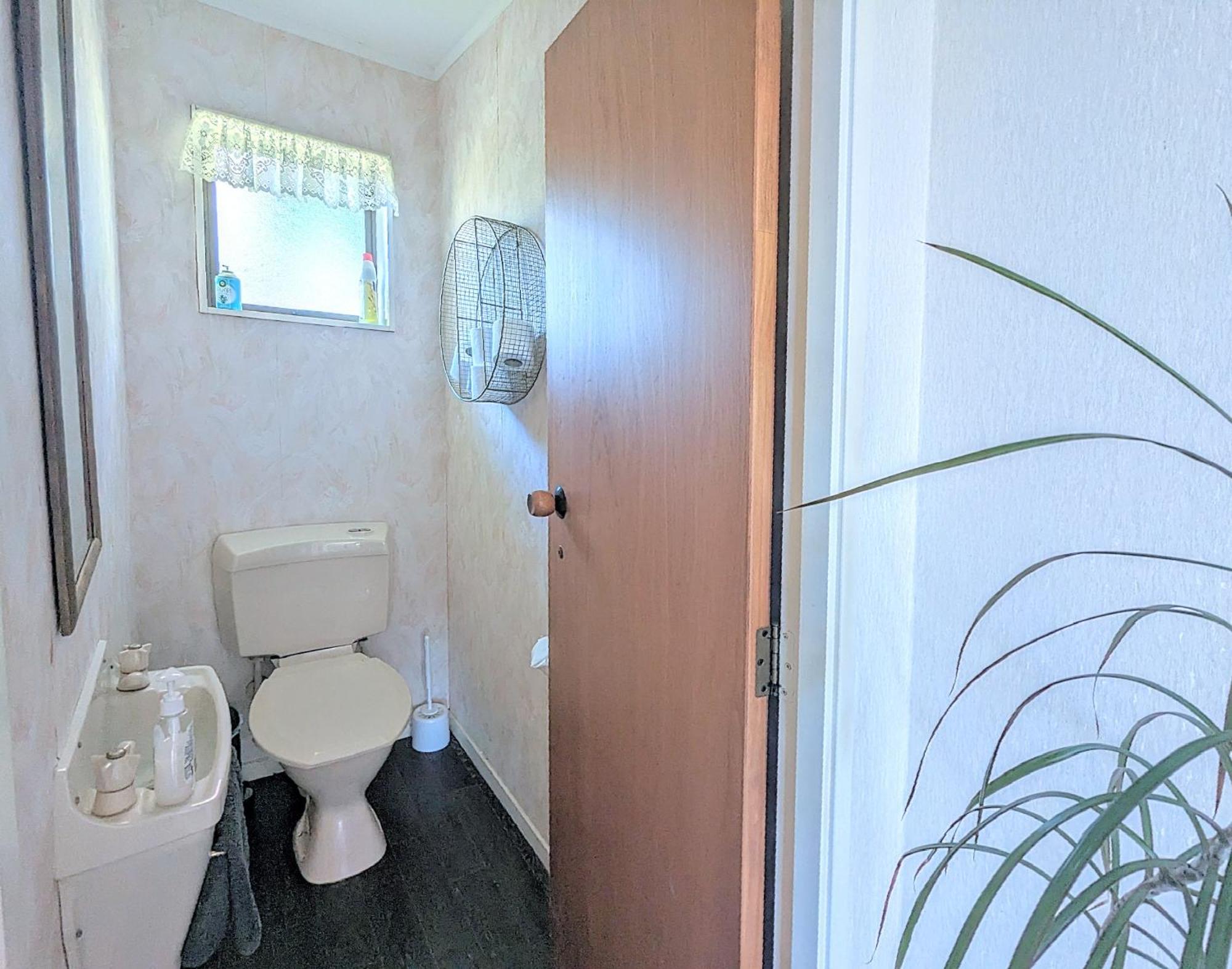 Available Now! Family Near Redwood Forest