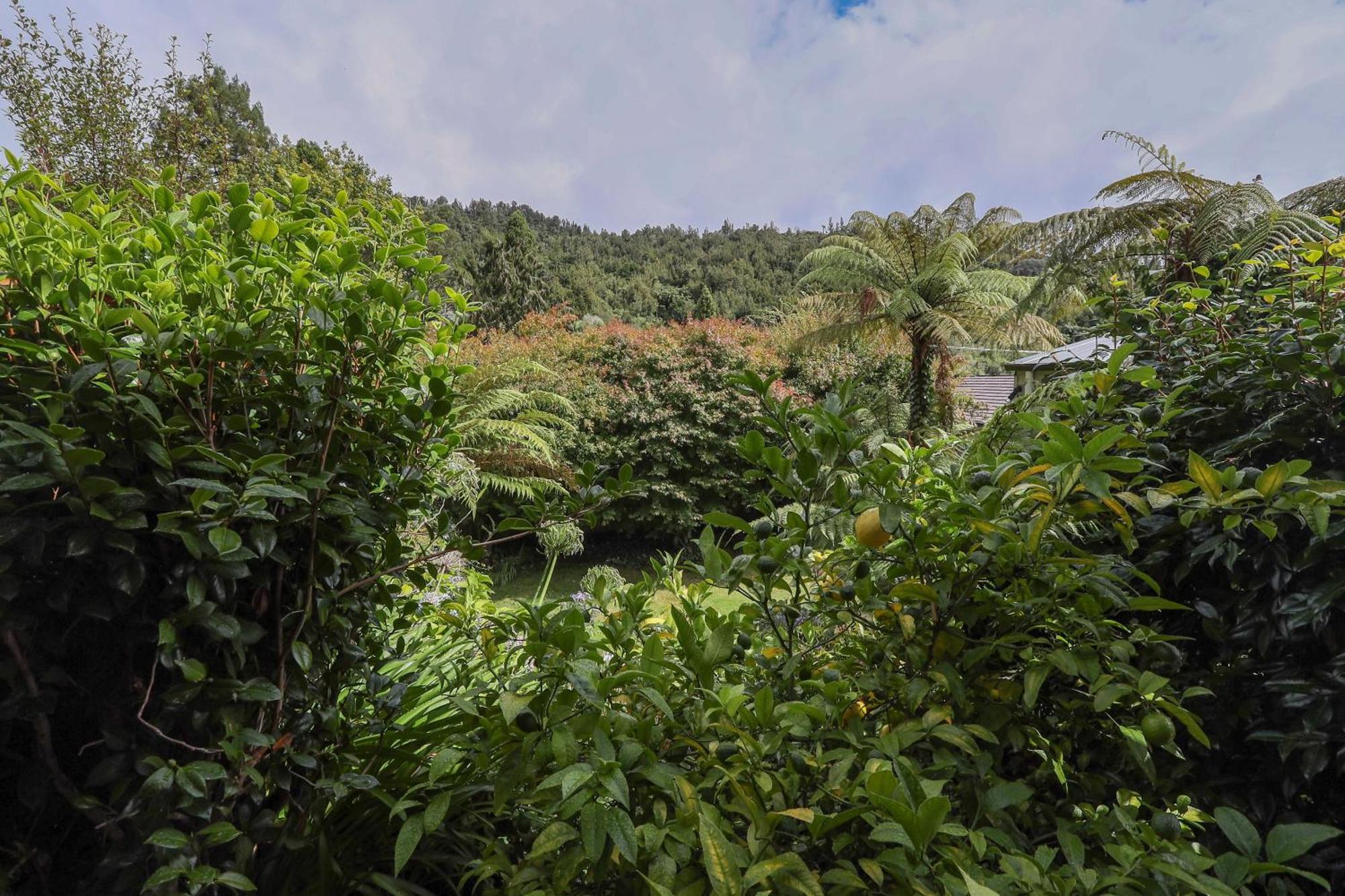Okareka Oasis Bed & Breakfast Rotorua