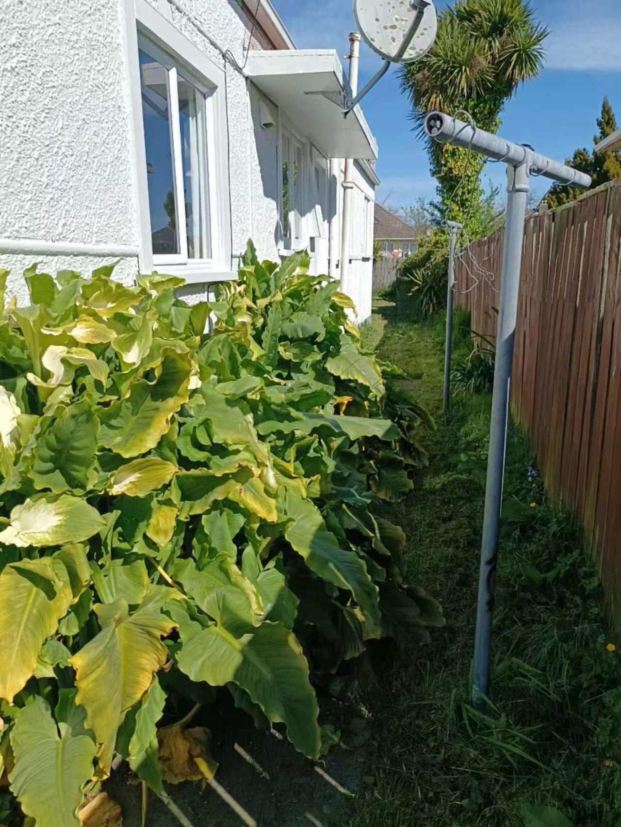5 Beds Including 3 Double Beds 1 Double Or 2 Single Sofa Beds House At 22b Pererika St