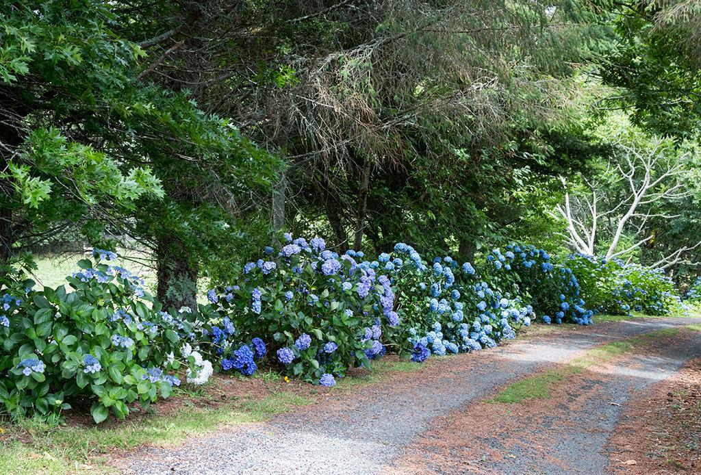 Doolans Country Retreat Bed & Breakfast