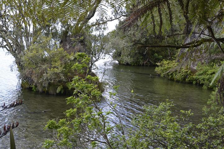 Lakefront * Rotorua