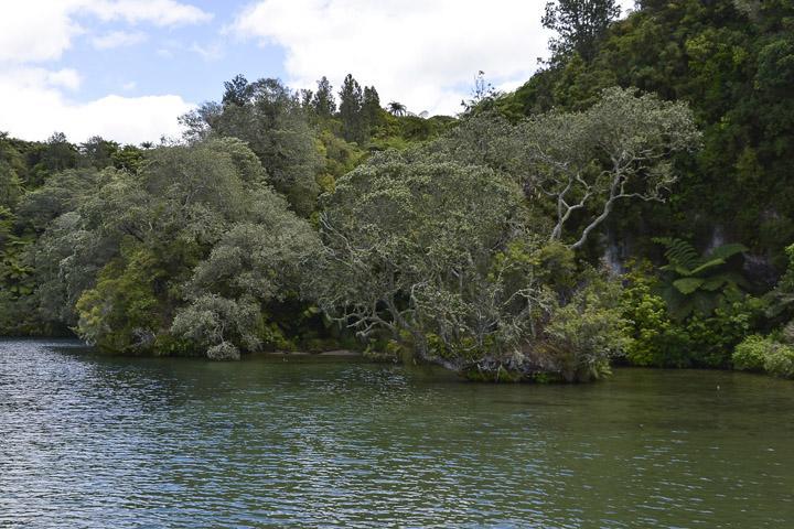 Lakefront Holiday home Rotorua