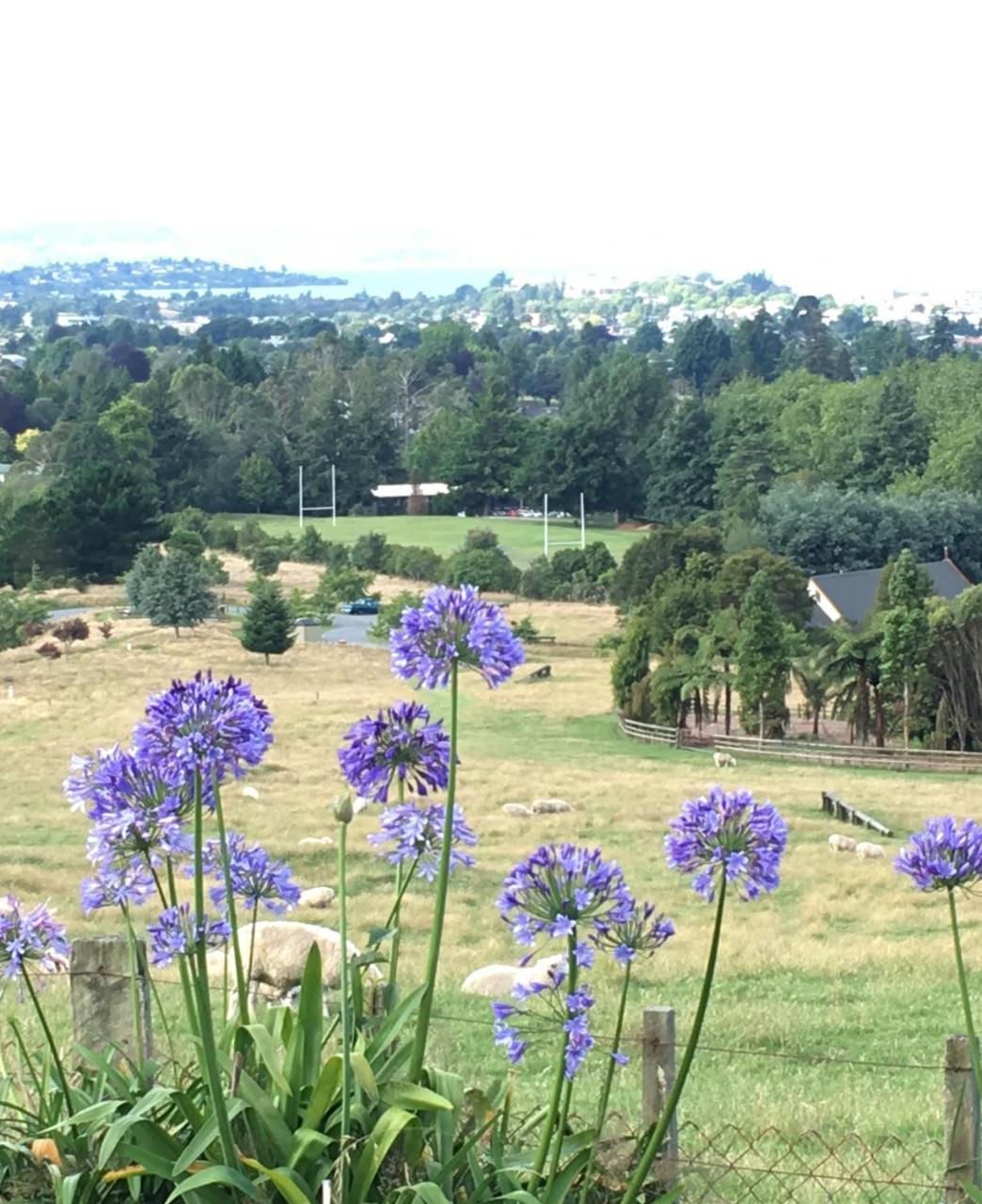 Pohutu Vista Rotorua