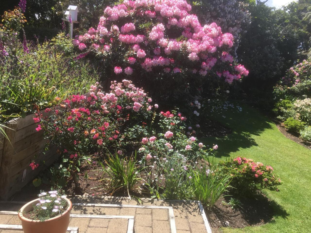 The Willows Holiday home