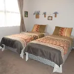 Nz Rotorua Hot Spring B&B Kiwi