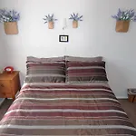 Nz Rotorua Hot Spring B&B Kiwi